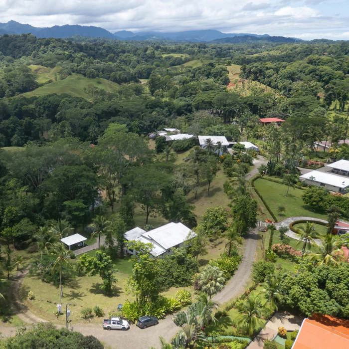 Modern luxury hillside home with infinity-edge pool and expansive tropical surroundings, captured from above with palm-lined landscaping and rolling green terrain.