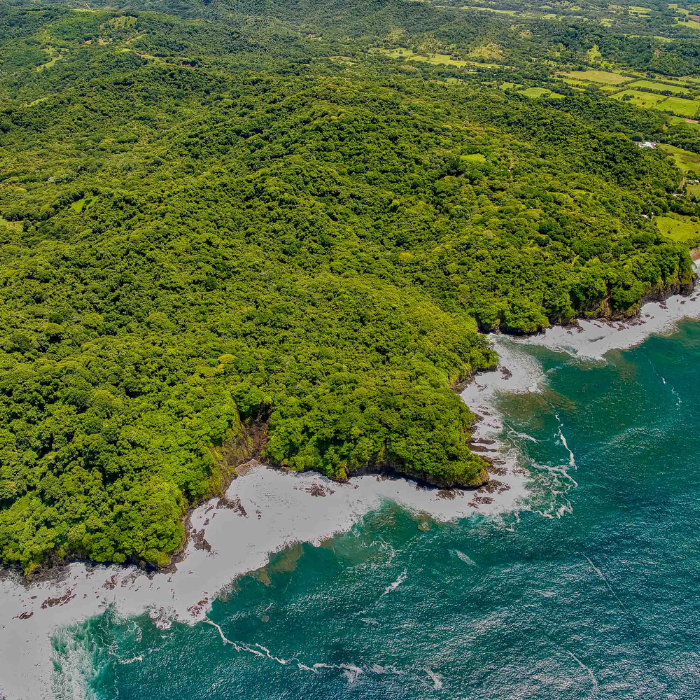 Aerial coastline view with dense tropical forest meeting rocky beaches and turquoise ocean water.