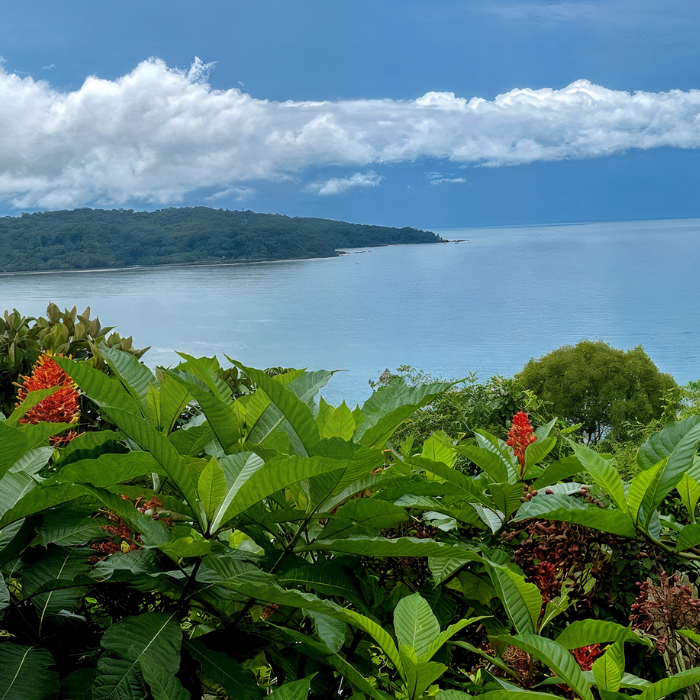Ocean view framed by lush tropical plants and flowers under a cloudy blue sky.