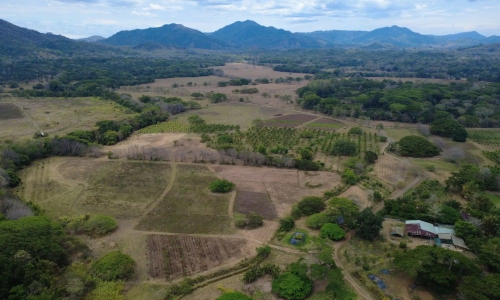 101 Hectares Near Santa Teresa