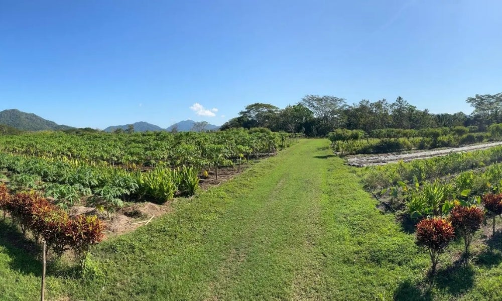 101 Hectares Near Santa Teresa