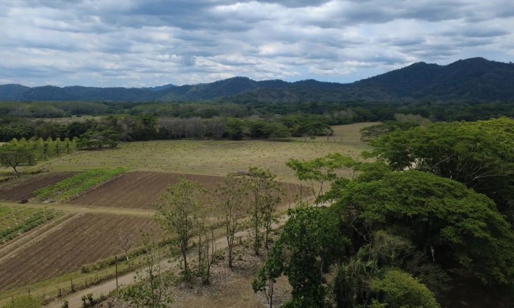 101 Hectares Near Santa Teresa