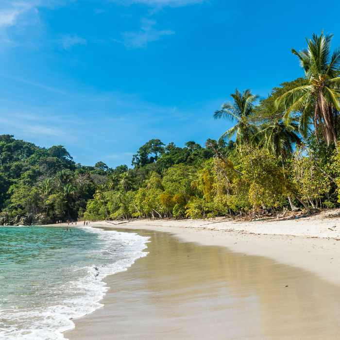 Tropical beach with clear water, soft sand, and palm trees along the shoreline under a bright blue sky.