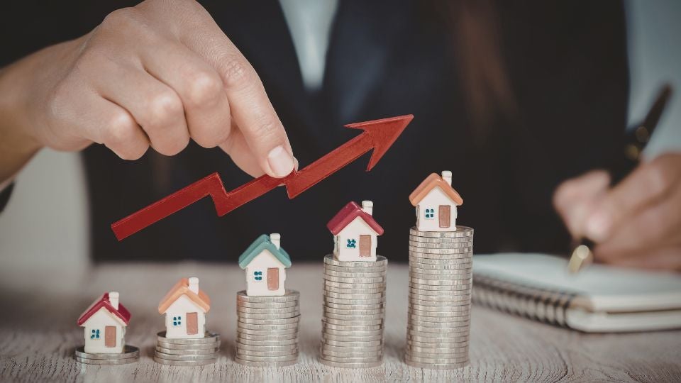 Market Insights