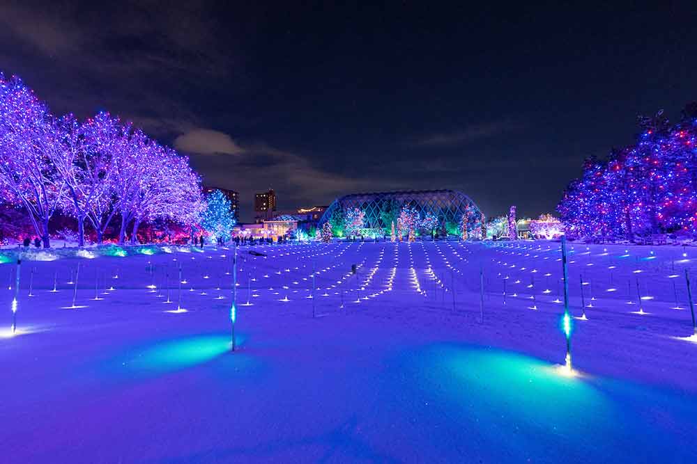 Blossoms of Light @ Denver Botanic Gardens. Photo credit: botanicgardens.org